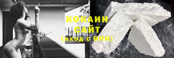 прущие грибы Остров