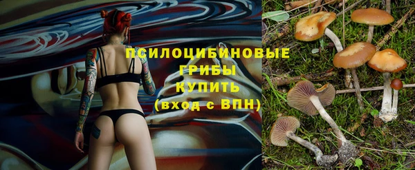 спиды Осинники