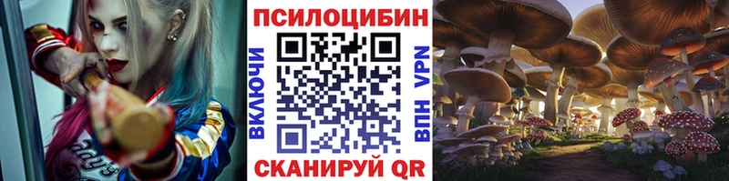 мега ONION  Североуральск  Псилоцибиновые грибы мухоморы 