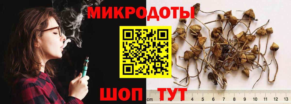 Североуральск  Псилоцибиновые грибы MAGIC MUSHROOMS  Вход с VPN 